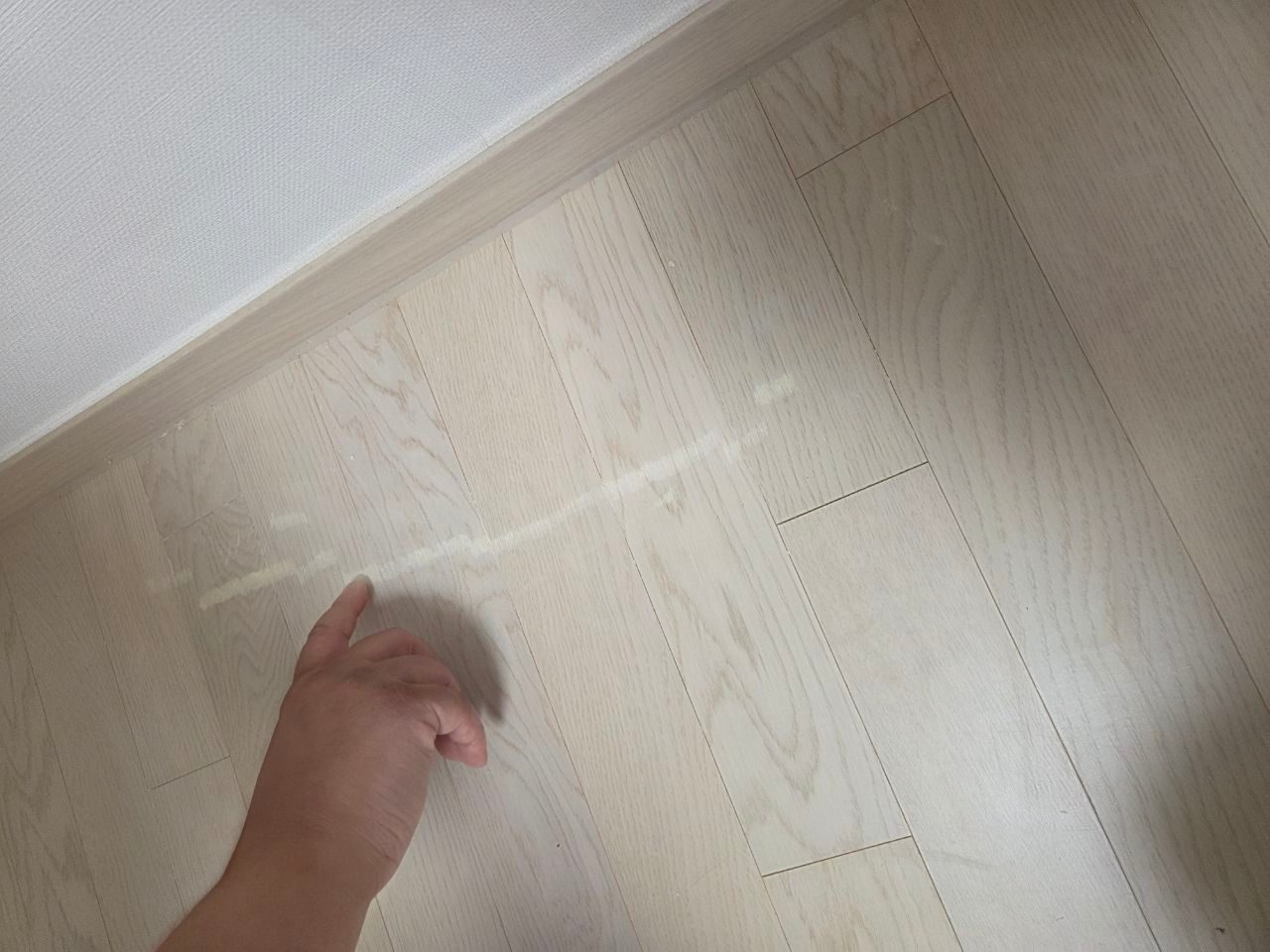 리뷰 사진