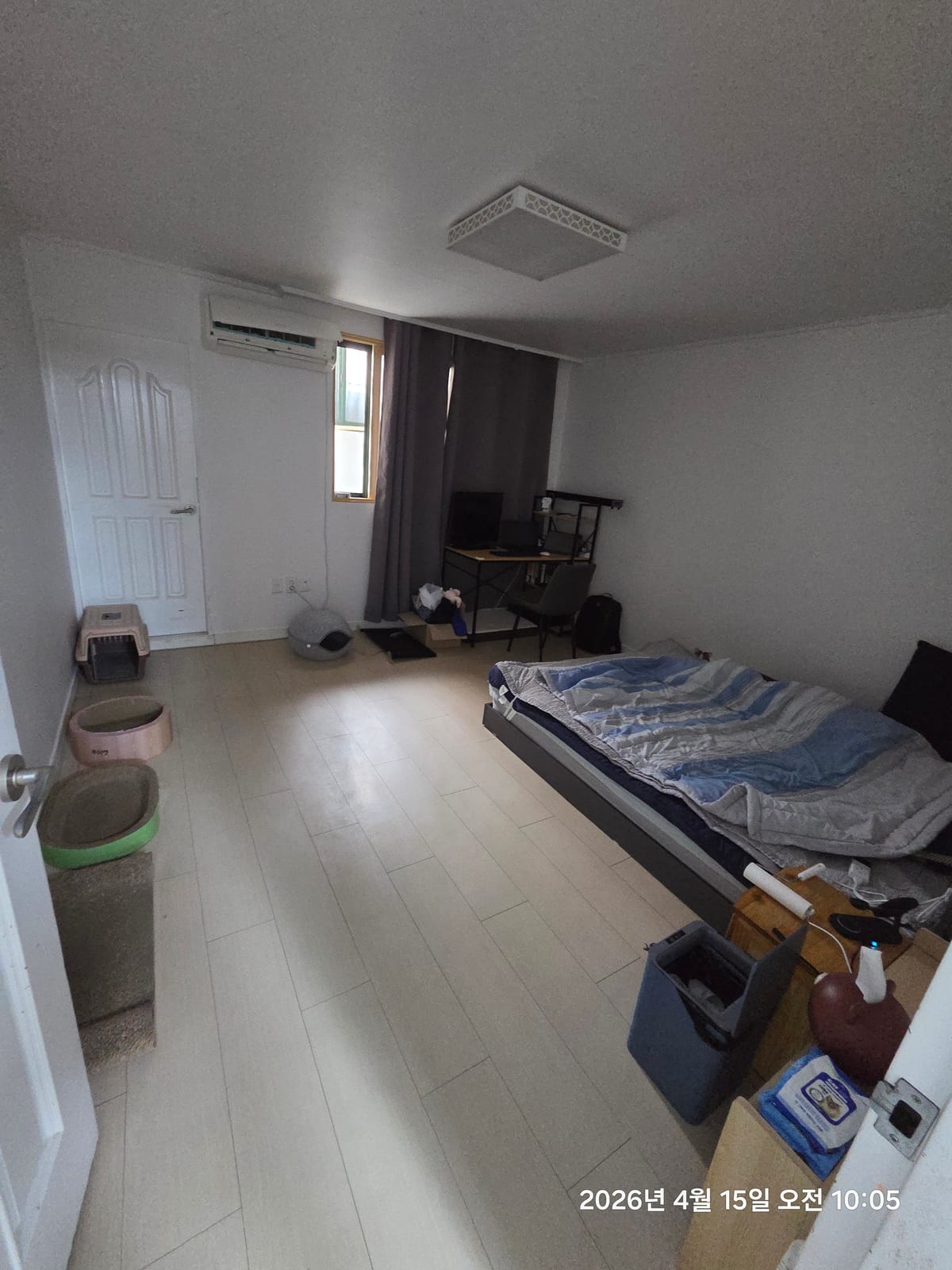 리뷰 사진